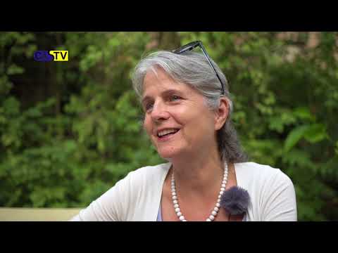 Mühlenteich Frohlinde - Eine Reportage über neue und bekannte Details.