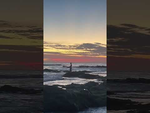 COSTA DE ORO, Canelones, Uruguay 🇺🇾 #beach #canelones #uruguay #playa #uruguaynatural