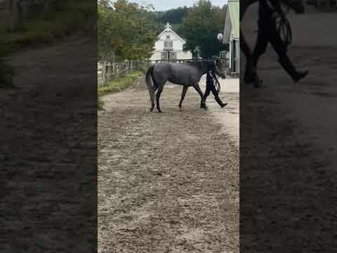 {{itemName}}_video_thumbnail