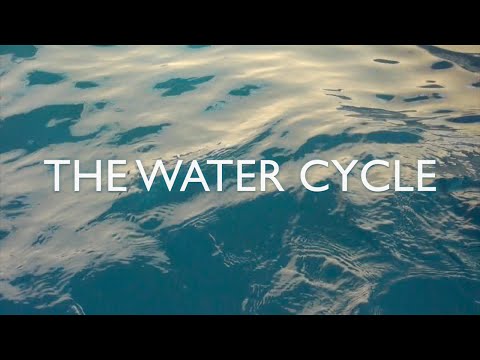 Water Cycle | Mathias