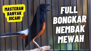 Download lagu MASTERAN MURAI BATU FULL ISIAN TEMBAKAN PANJANG MEWAH PALING BANYAK DI CARI DAN CEPAT MASUK mp3