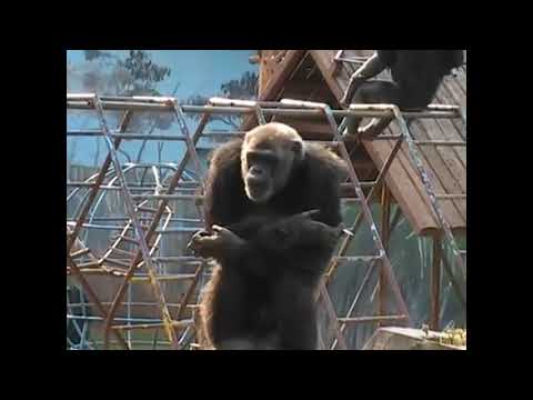 CALABRIAN BOY SMOKES SINGING A SONG