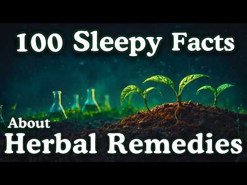 The Most Relaxing Facts About Herbal Remedies to Fall Asleep To