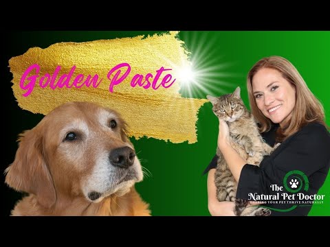 How To Make Golden Paste For Dogs And Cats