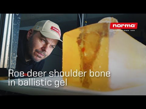 How bullets react when they hit a bone | First high-speed footage on real Game bones ever recorded