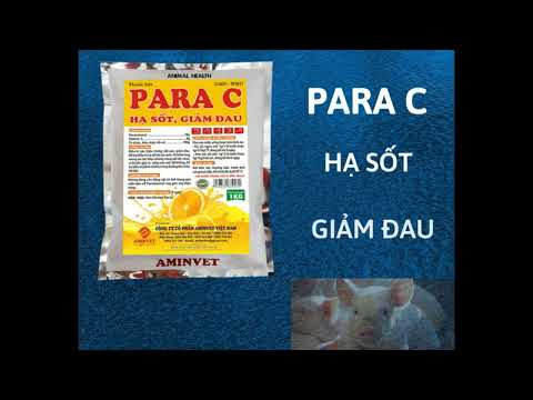 PARA C, HẠ SỐT-GIẢM ĐAU- HỖ TRỢ ĐIỀU TRỊ BỆNH, nppthuocthuy.com