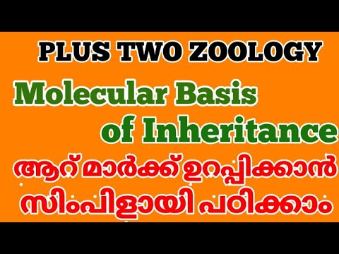 +2 zoology molecular basis of inheritance in malayalam |part1| plustwo zoology | science master |