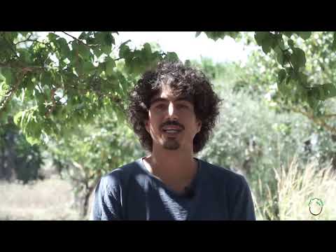 come e perché consumare MENO PLASTICA