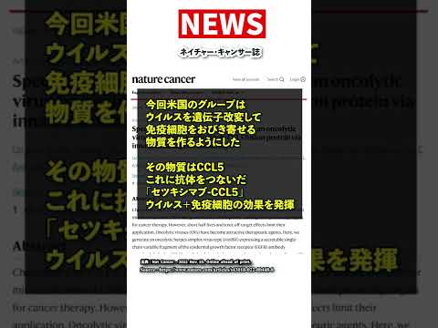 Nuvola アプリの教育言語.svg