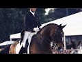 Symphony Equine MV
