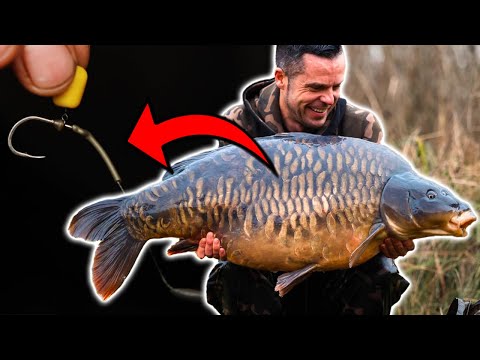 The Rig that caught The Lord 👑 60lb+ UK Fully on a solid bag | Carp Fishing