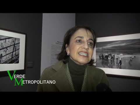 VERDE METROPOLITANO - puntata del 16 febbraio 2020 (2a parte)