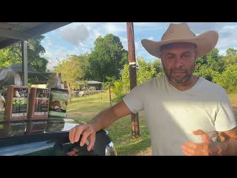 Productos que pudieran ser indispensables con Productos Veterinarios del Sur #elcaballoyelcaballista