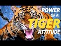 The Power Of Tiger Attitude Tiger Motivation Speech Best Motivational Quotes 2021