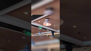 Neat Detail Discovered at Marceline Market! #DisneyWish #DisneyCruise #Shorts