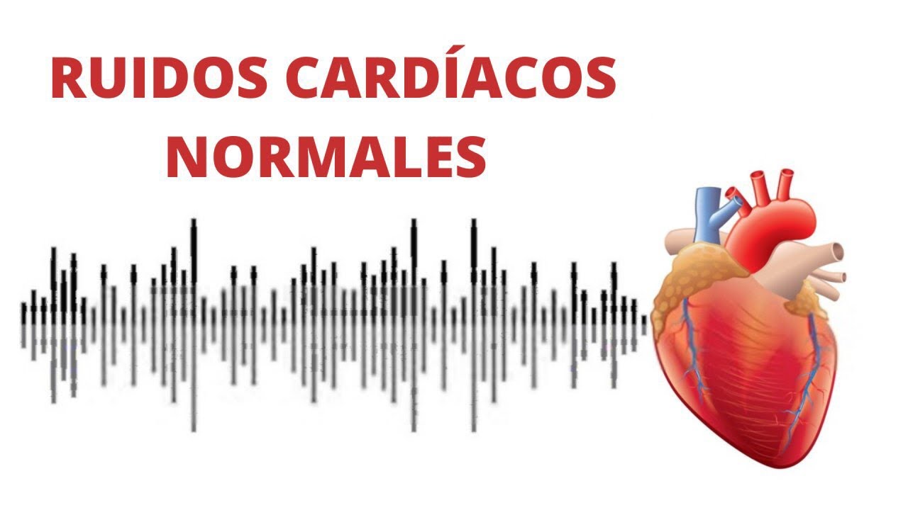 AUSCULTACIÓN CARDÍACA: ruidos normales del corazón (r1r2 / s1s2)