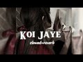 Koi Jaye To Le Aaye Slowed Reverb Ghatak Sunny Deol Night Vibes