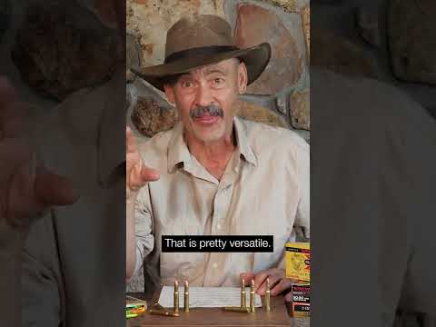 DEEP PENETRATION! 30-30 Winchester Federal PowerShok 170gr Ammo Test