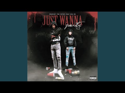 Just Wanna Party (feat. Sha EK)