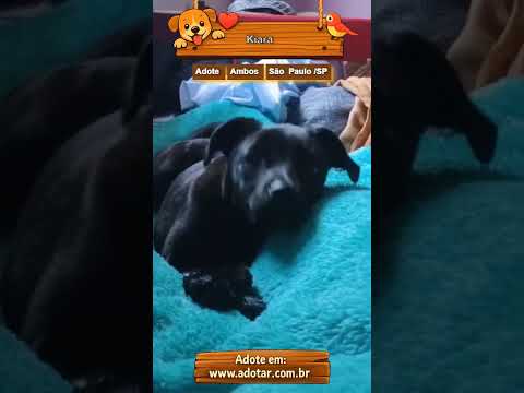 Vídeo de Kiara