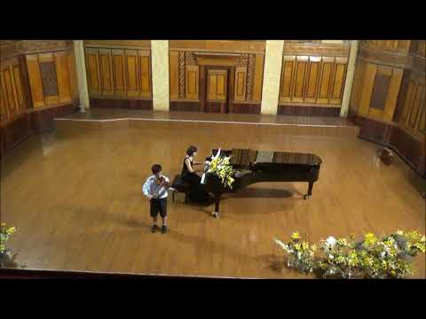 Sean Kim / STAR WARS (Main Theme violin solo)