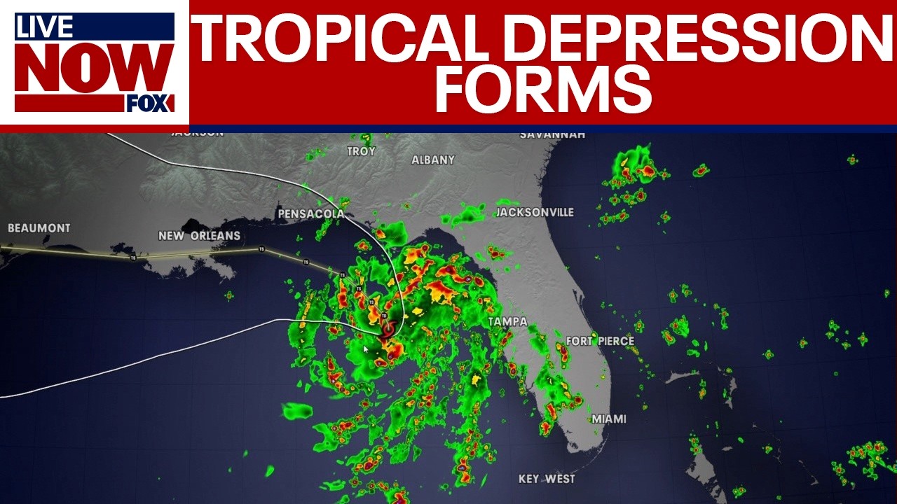Tropical Depression Two forms off Florida Gulf coast