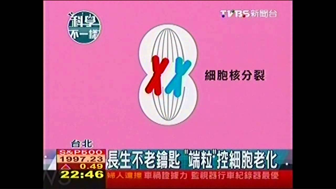 【科學不一樣】長生不老鑰匙 「端粒」控細胞老化