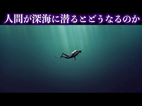 ズーマリアについて詳しく解説