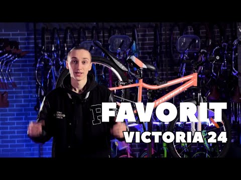 Миниатюра изображения товара Детский велосипед FAVORIT Victoria-24VS / VIC24V12PN (разобранный, в коробке)