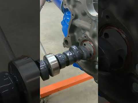 Installing the Camshaft in the Ford 289