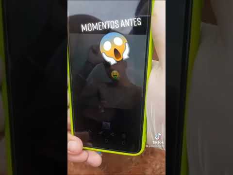 tribunal do crime executa meninas sem dó