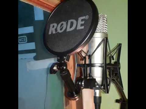 studio nouakchott city gang