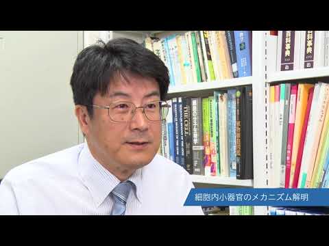 バイオデータサイエンス学科 長浜バイオ大学研究紹介 Vol.1-4 林 誠先生