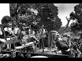 Cold Blood   -  If You Will