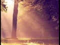 Autumn Leaves - Chris Brown ft. Kendrick Lamar ...