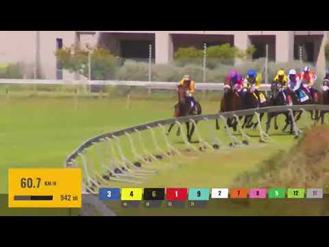 2022.12.17 Cape Guineas (RSA) - Charles Dickens