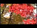Ki Hilatzta Nafshi Melody Composed By Rav Baruch Ashlag