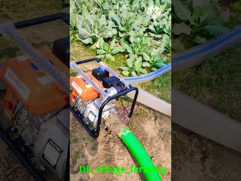 best water pump | budget water pump | Neptune petrol water pump | 7 Hp water pump | #Neptune #shorts