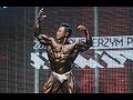 2019 Monsterzym Pro Kim Junho Free Posing
