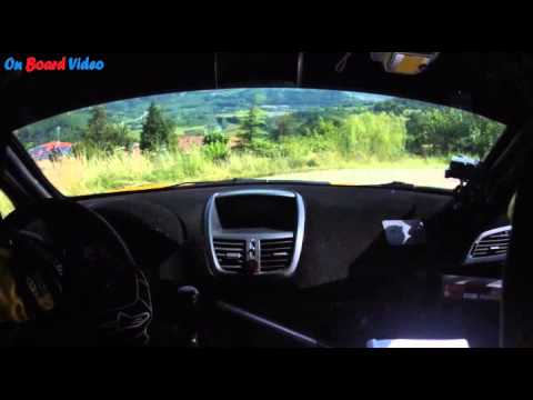 Cameracar 26°Rally del Tartufo Murialdi-Valpreda Peugeot 207 S2000