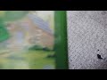 Franklin Franklin Goes To School 1999 VHS Review