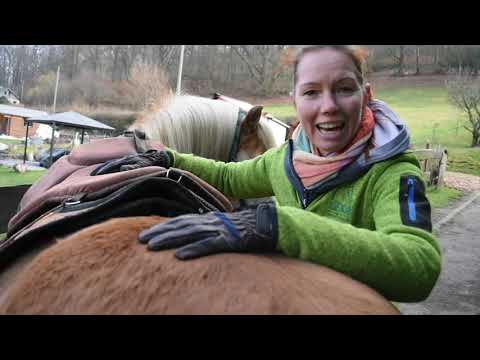 Das Ride-on-Pad von “Barefoot“ - eine gute Alternative? Test mit wildem Haflinger im Gelände.