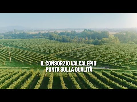 Il Consorzio Valcalepio punta sulla qualità