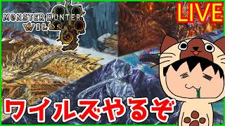 最終プレイが約4ヶ月前ってマジですか【モンスターハンターワイルズ】【操虫棍】