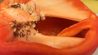 Download lagu 🔥Cooking Routine 😋xx mp3