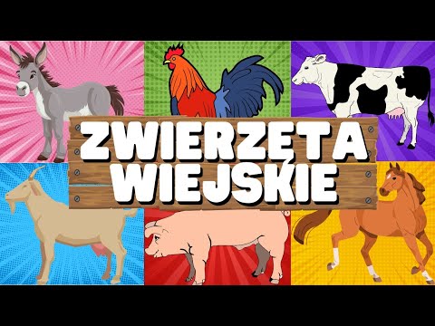 ZWIERZĘTA WIEJSKIE DLA DZIECI . Zwierzęta na wsi dla dzieci. Poznaj odgłosy zwierząt. 🐄🐖🐓