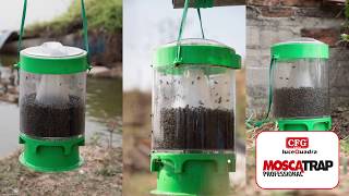 Esca cattura mosche CFG Moscatrap Professional