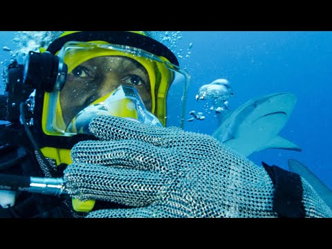 Why Mike Tyson Is Swimming With 30 Sharks