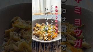 シンプルだけどマジで美味い【ミョウガ卵とじ】[簡単レシピ]