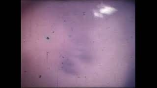 Video V KRUHU   Mrtvá myš